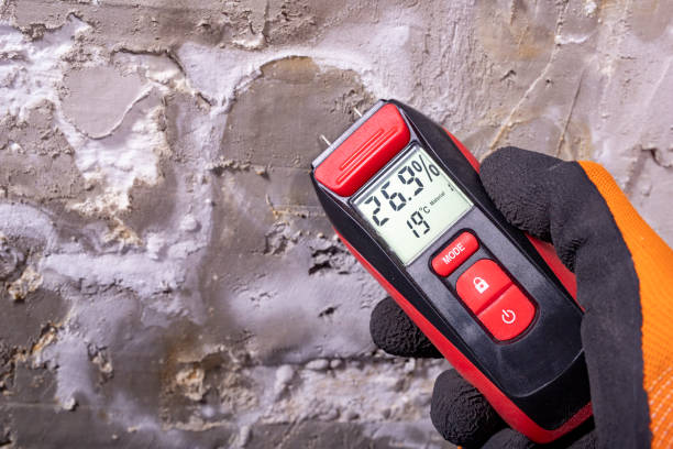 Best Fast Mold Removal  in Texanna, OK