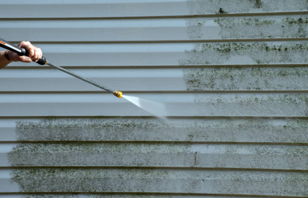 Best Mold Cleaning Services  in Texanna, OK