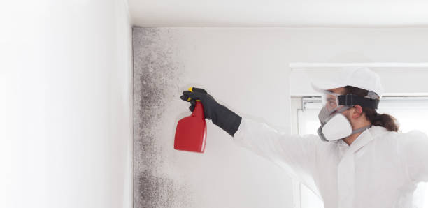 Best Professional Mold Removal  in Texanna, OK